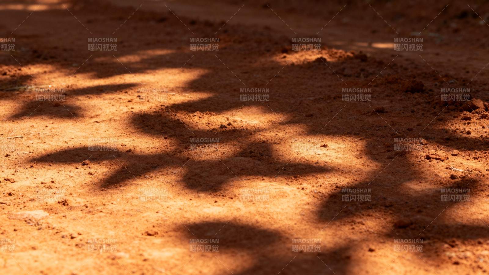 树影斑驳的红土图片