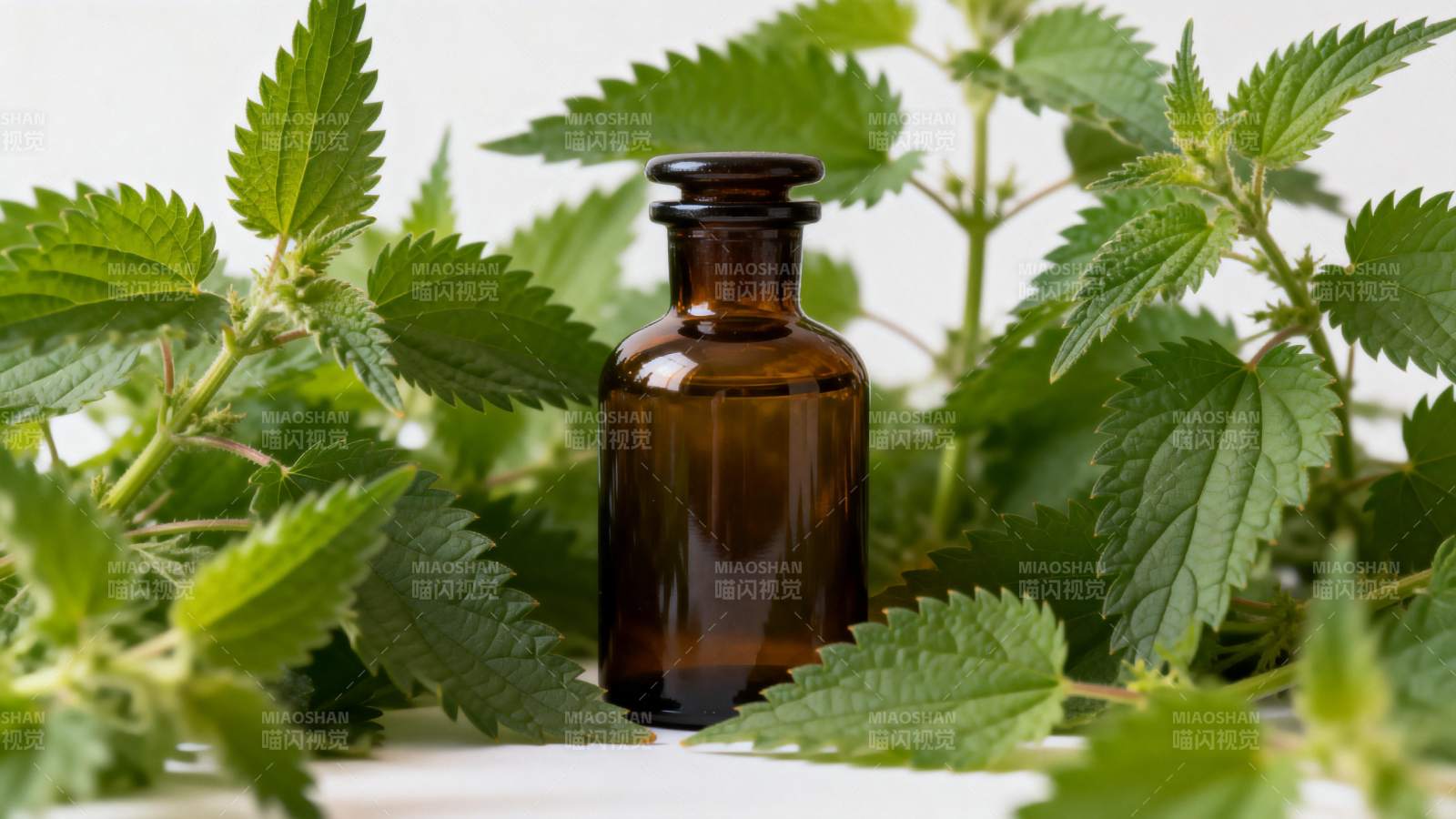 荨麻叶与棕色药瓶图片