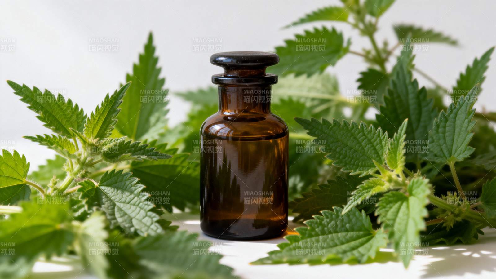 荨麻叶与棕色药瓶图片