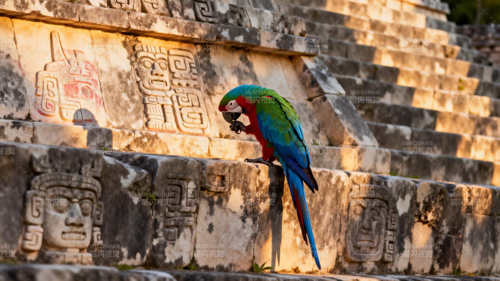 鹦鹉栖息古迹台阶图片