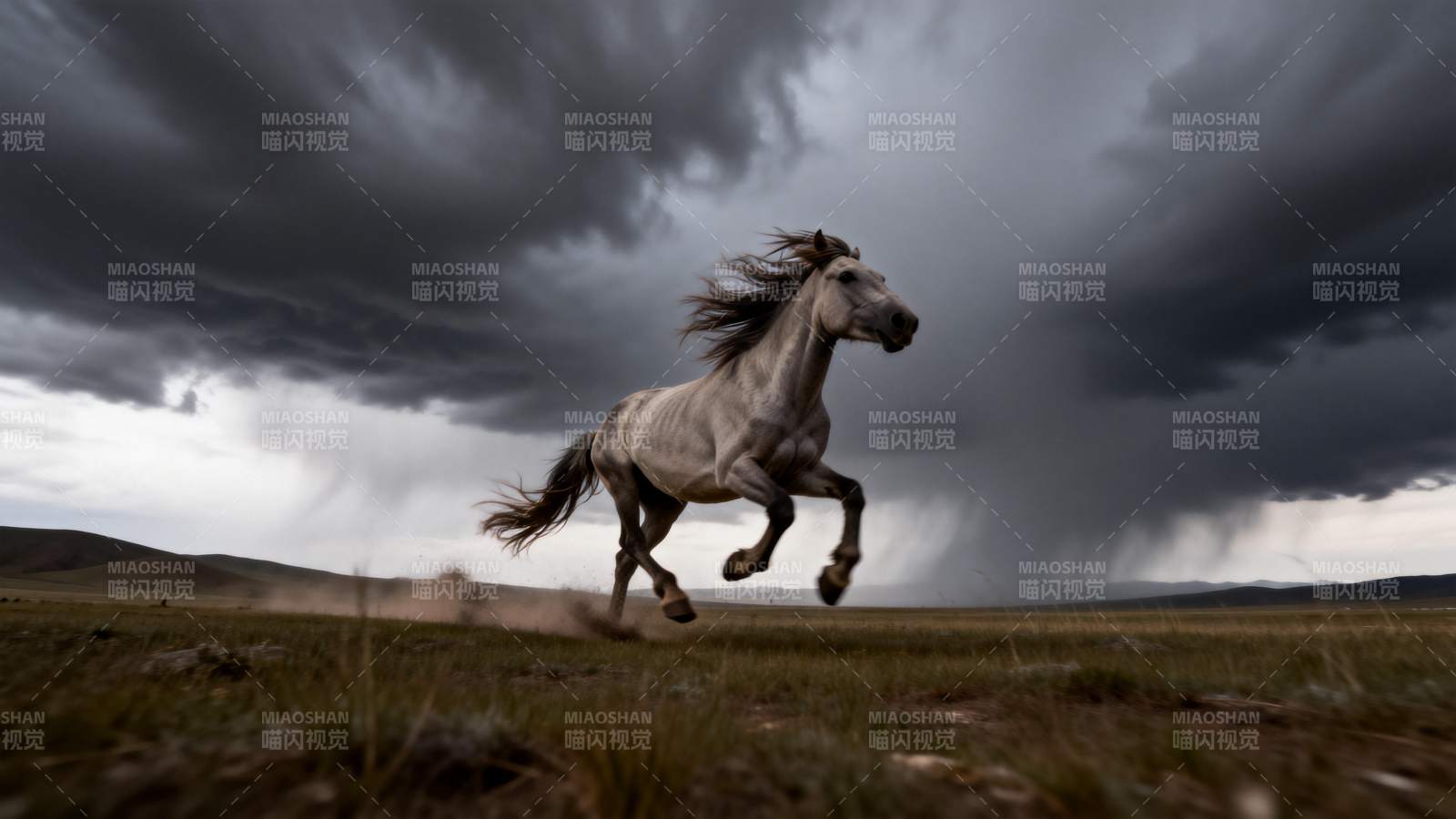 风暴中的奔马图片