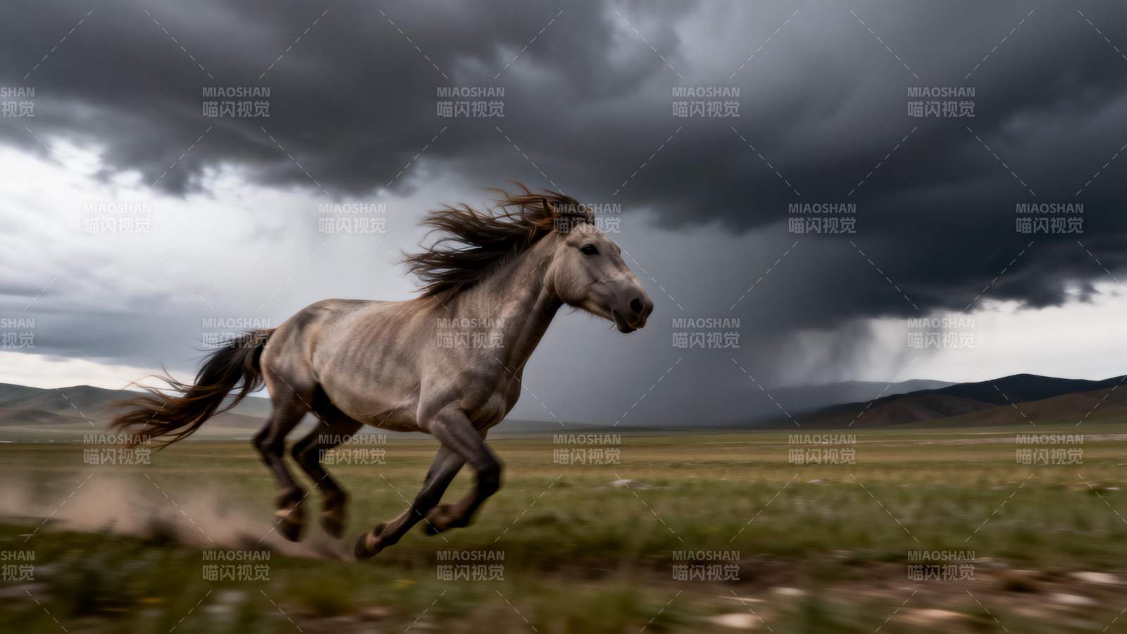 骏马奔腾于风暴前图片