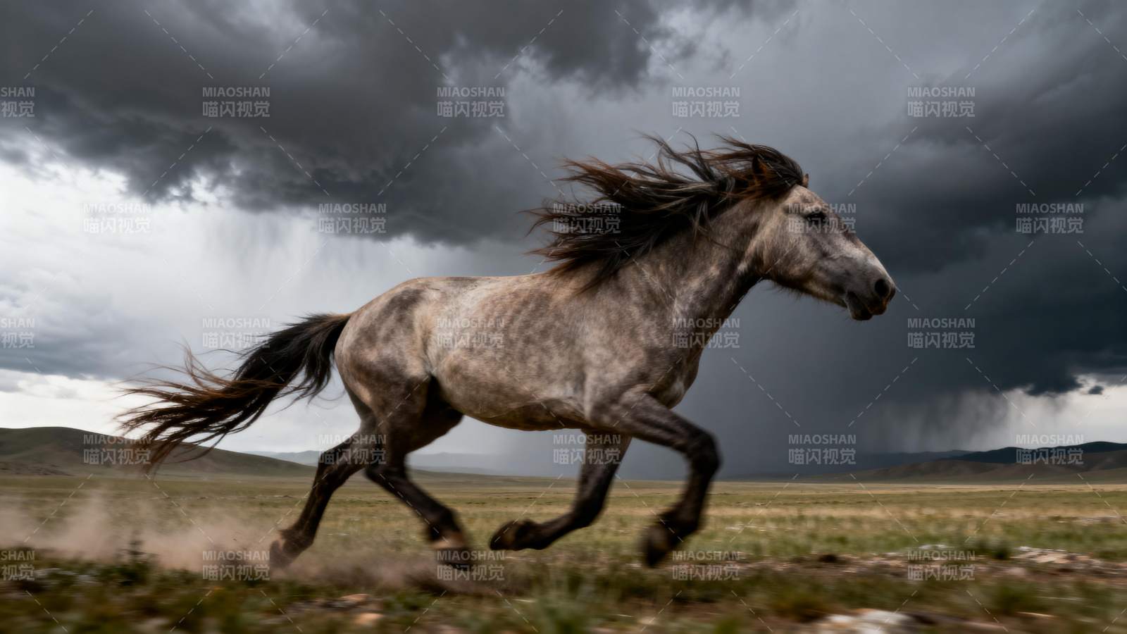 骏马奔腾于风暴前图片