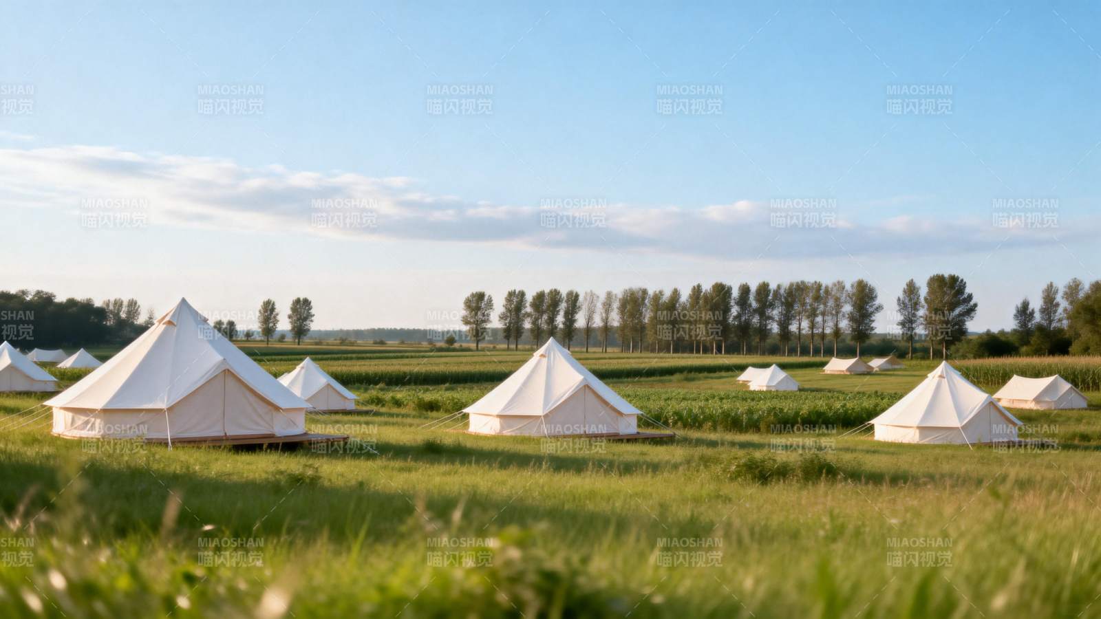 草原上的白色帐篷图片