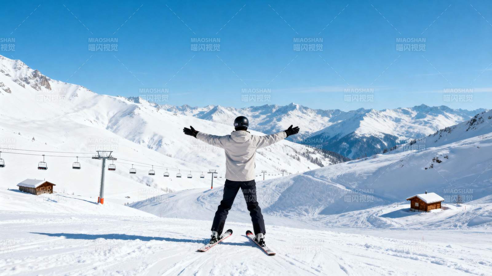 雪峰之巅 自由飞翔图片