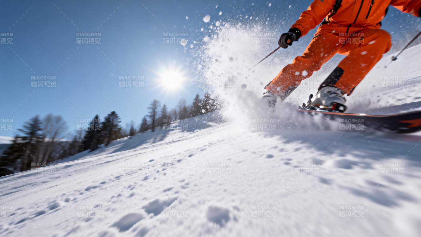 雪地疾驰 尽享滑雪乐趣图片