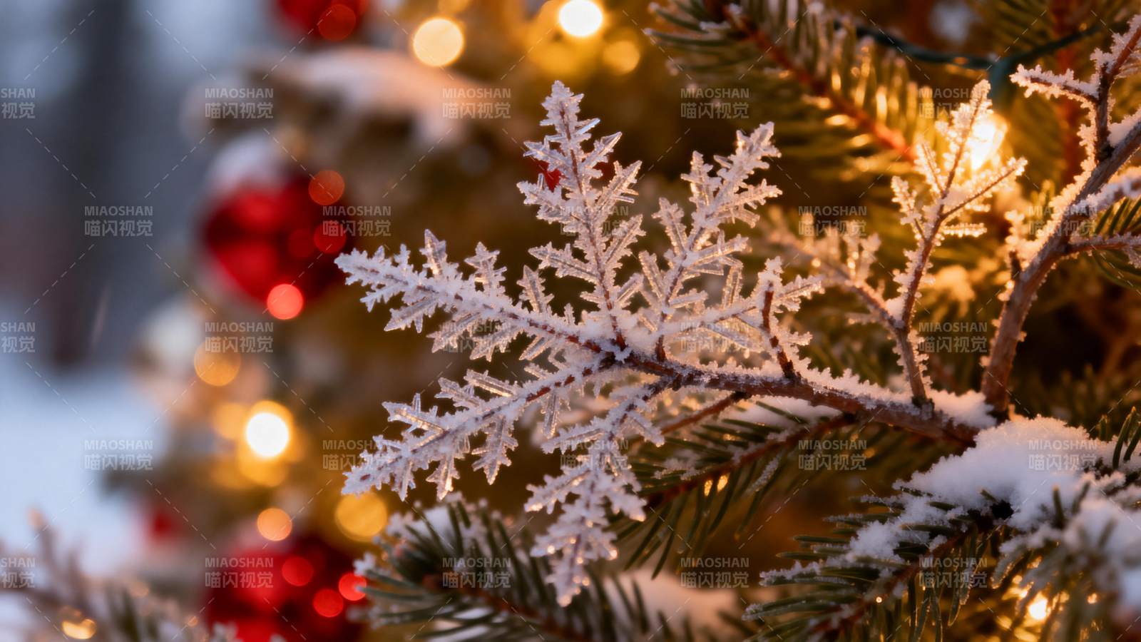 雪覆松枝迎圣诞图片