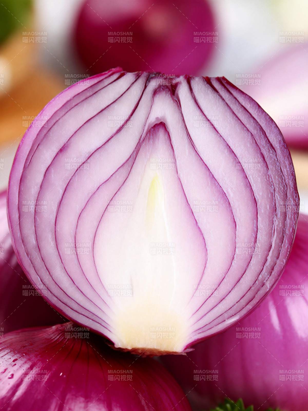 紫洋葱切面特写图片
