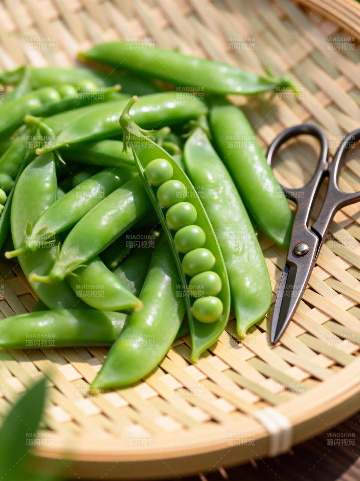 青豆与剪刀图片