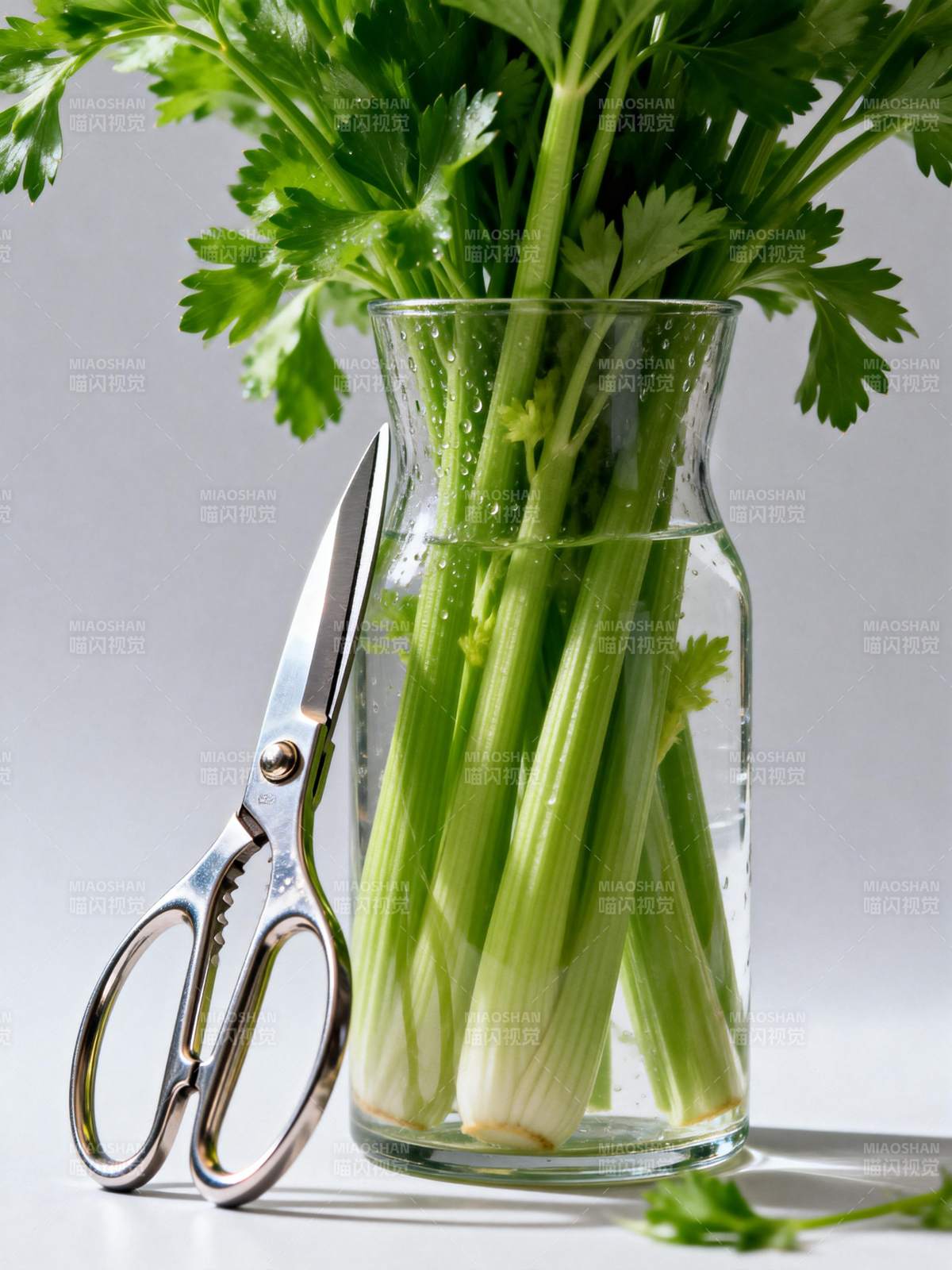 芹菜与剪刀静物图片