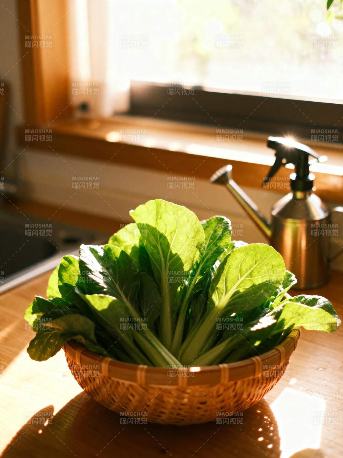 阳光下的新鲜青菜图片