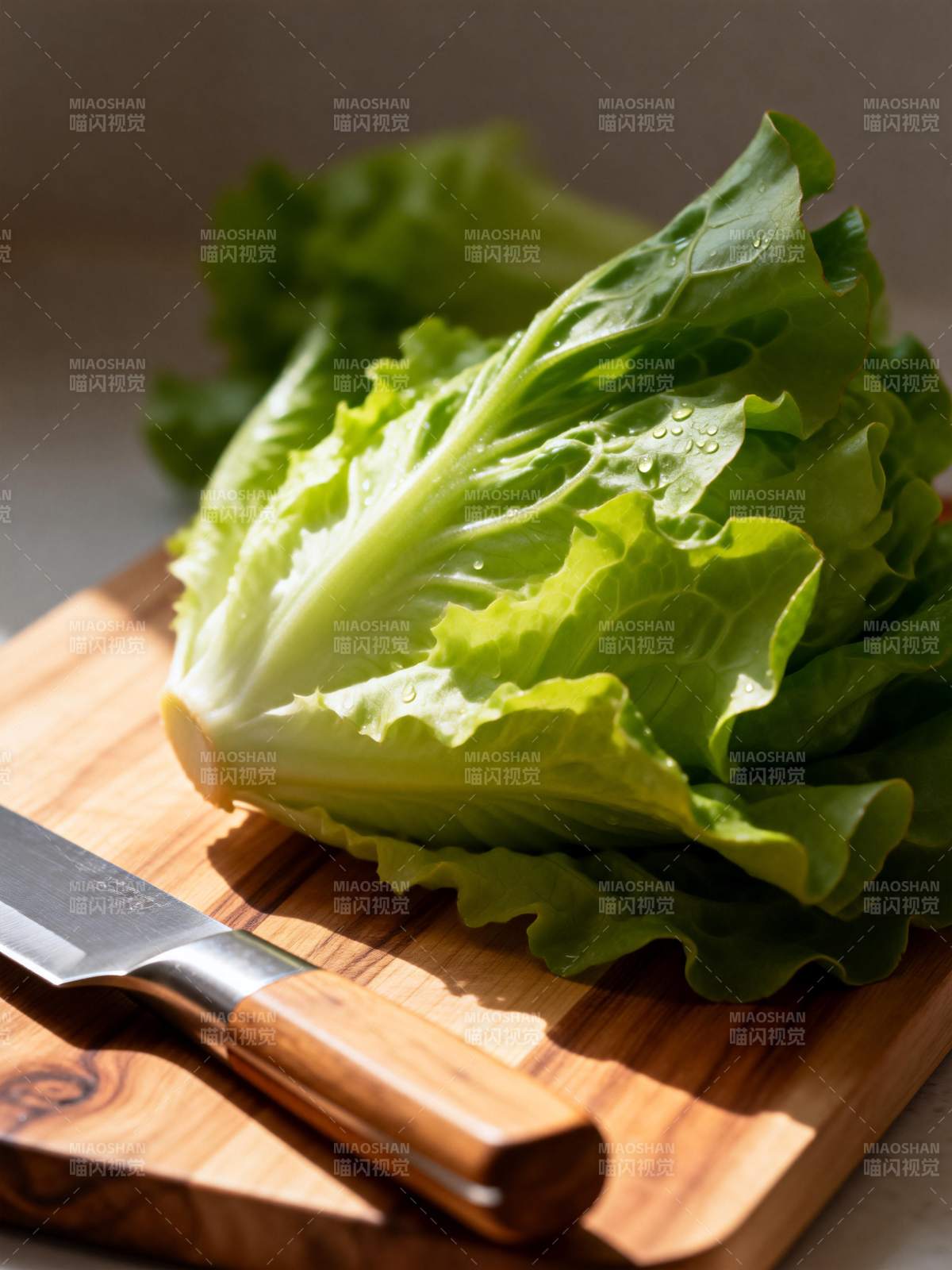 新鲜生菜切配中图片