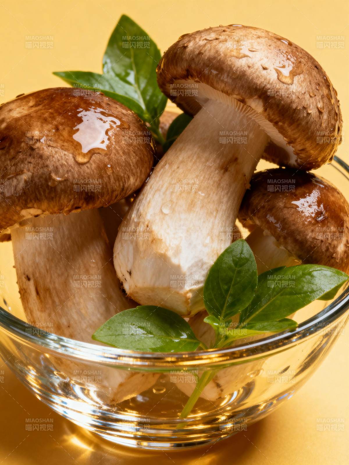 鲜菇配香草图片