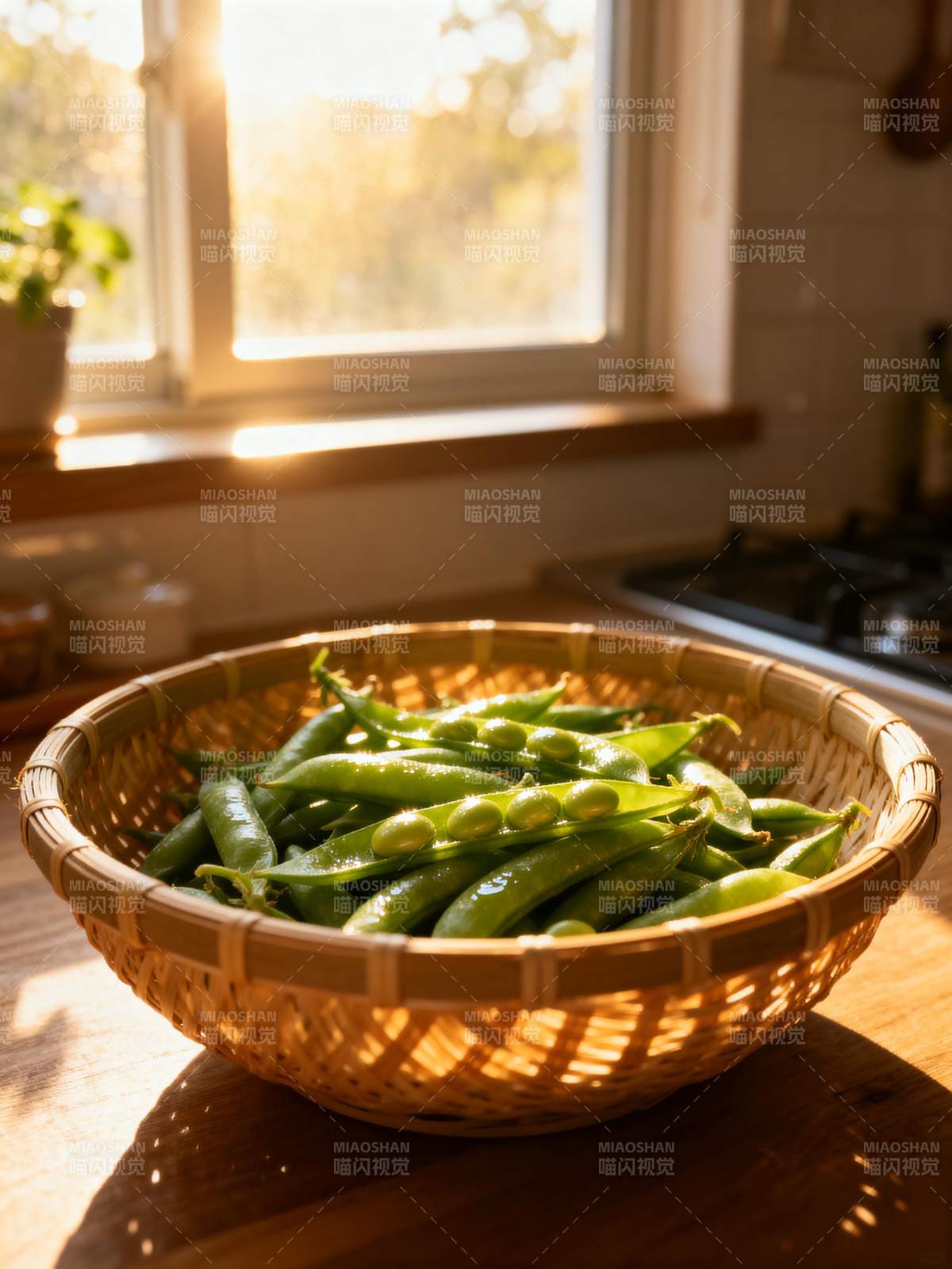 阳光下的青豆荚图片