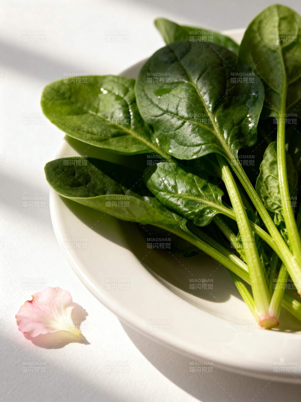 新鲜菠菜与花瓣图片