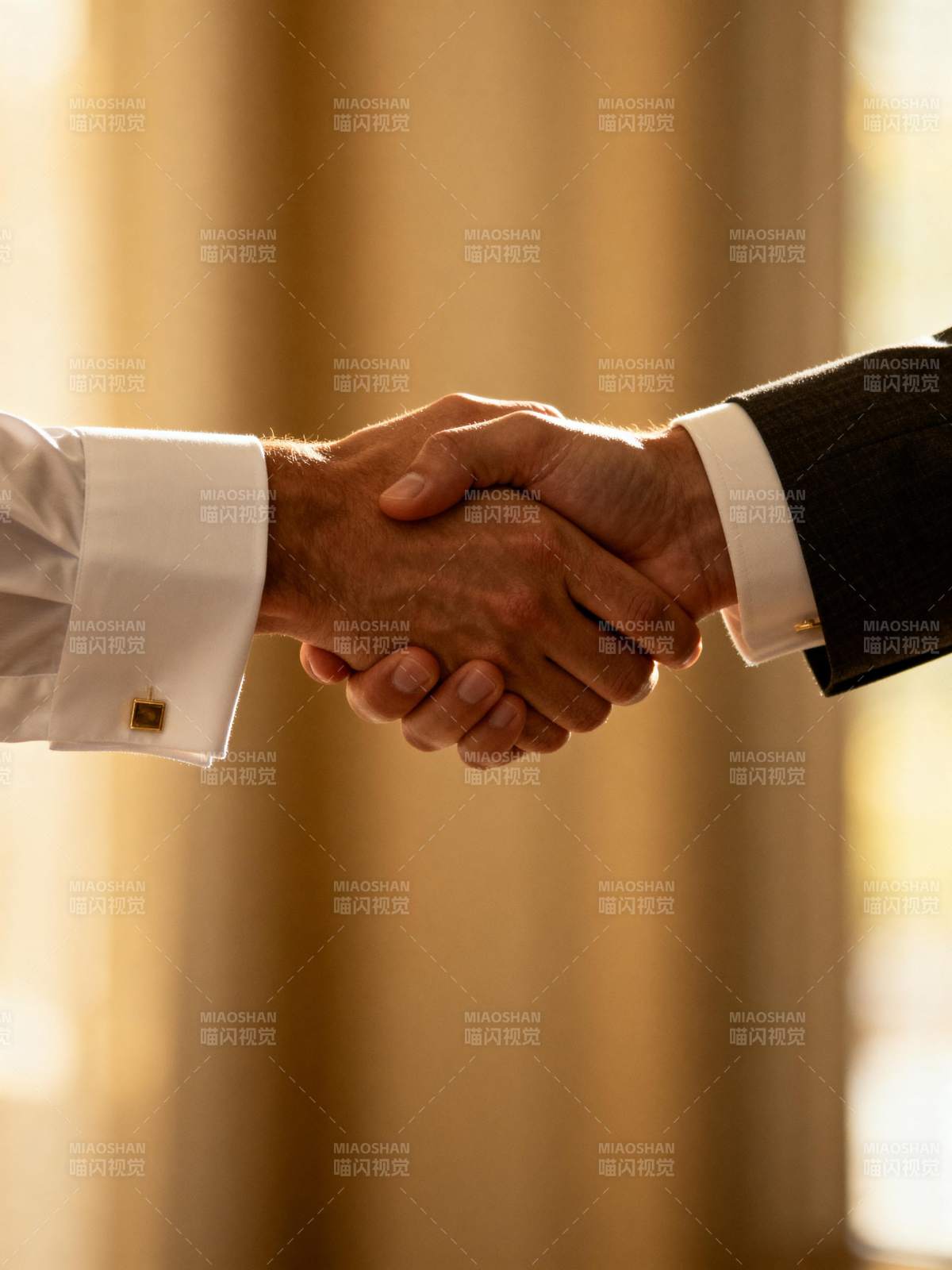 握手合作 共谋发展图片