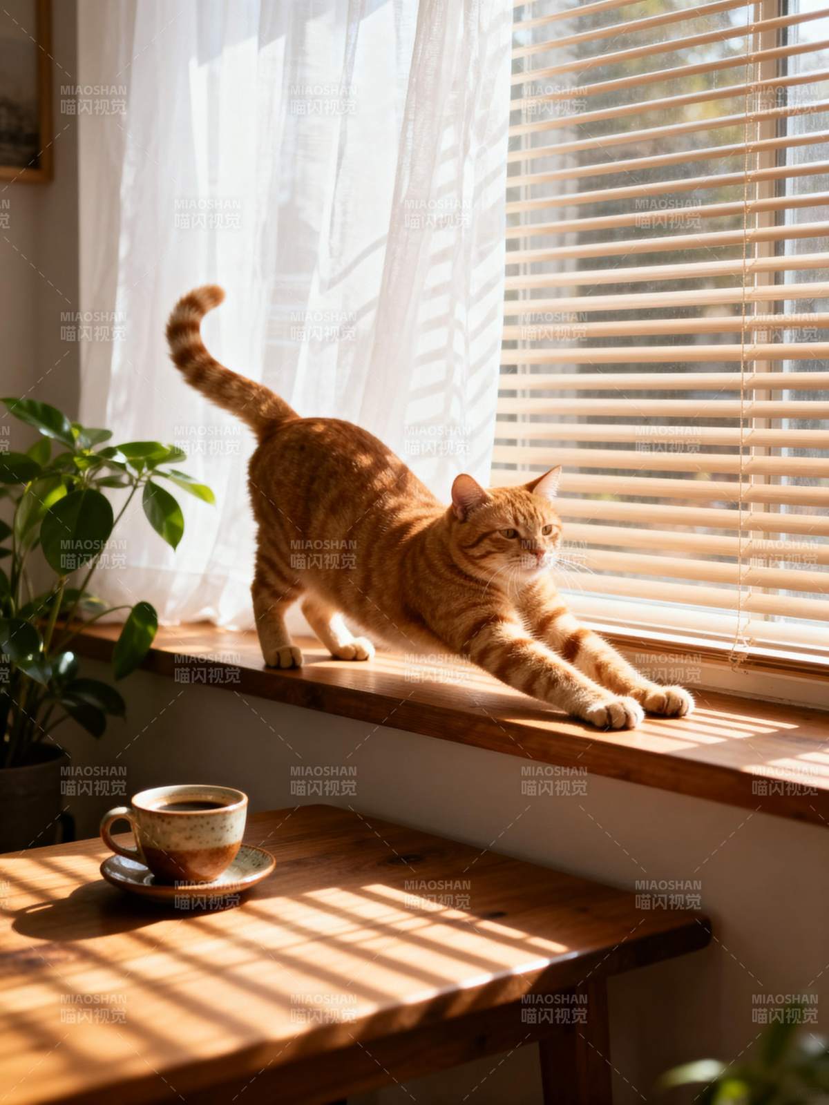 窗台上的橙猫图片