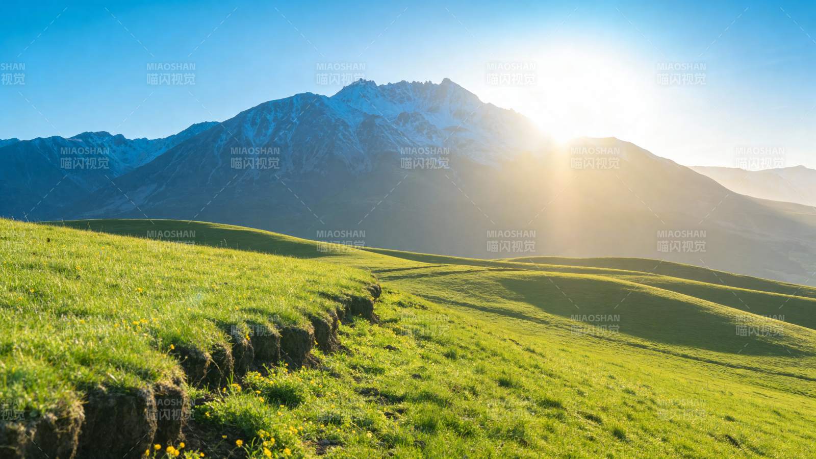 雪山草甸日出美景图片