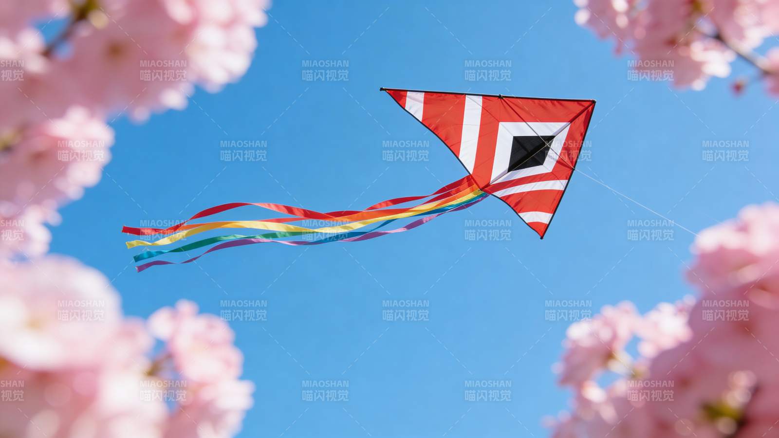 樱花下飞舞的风筝图片