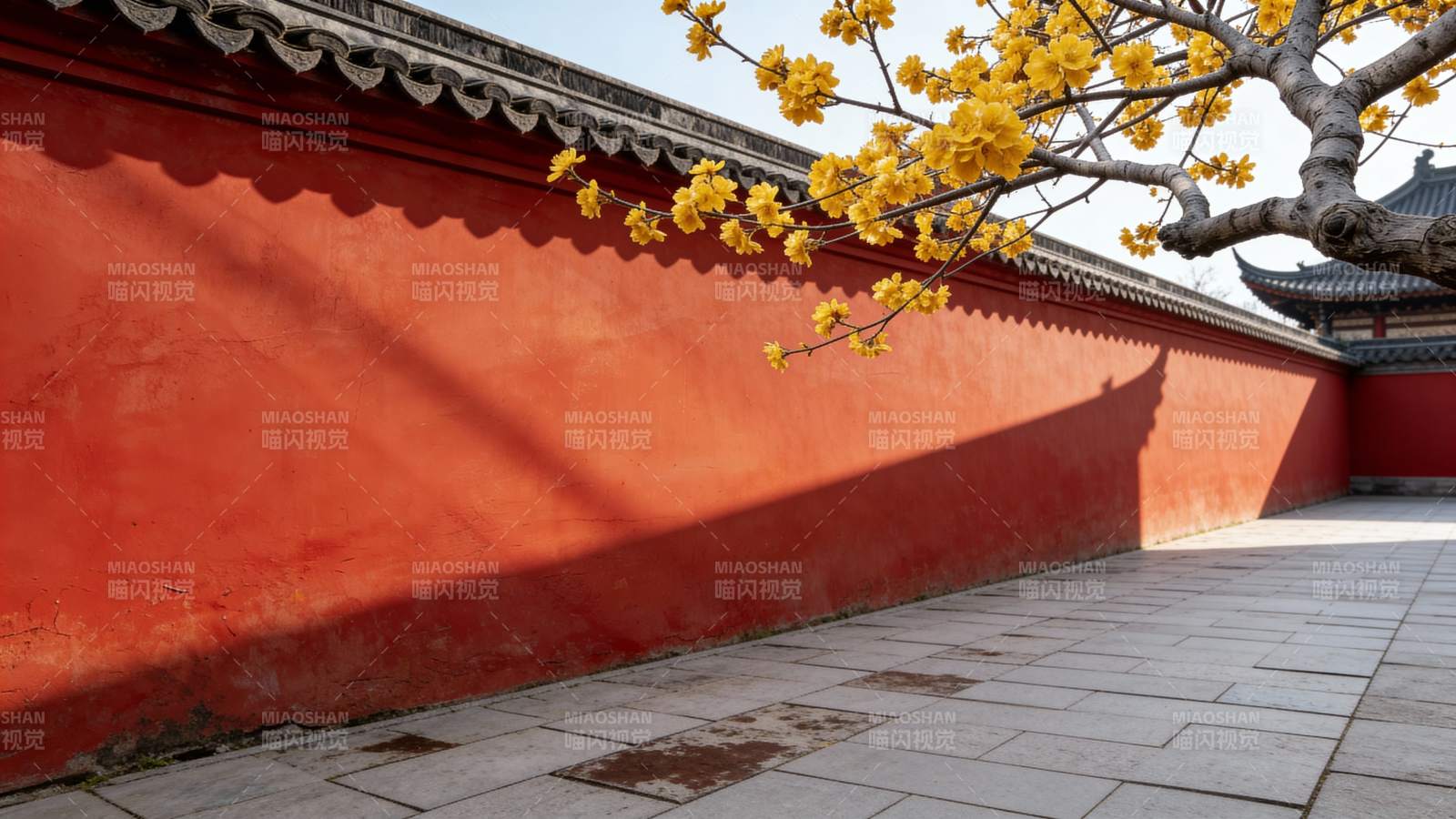 红墙黄花古建筑庭院图片