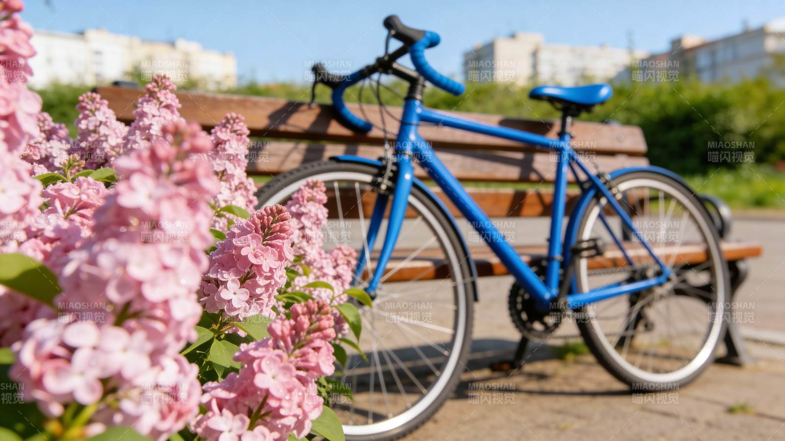 蓝车伴花 春日静景图片