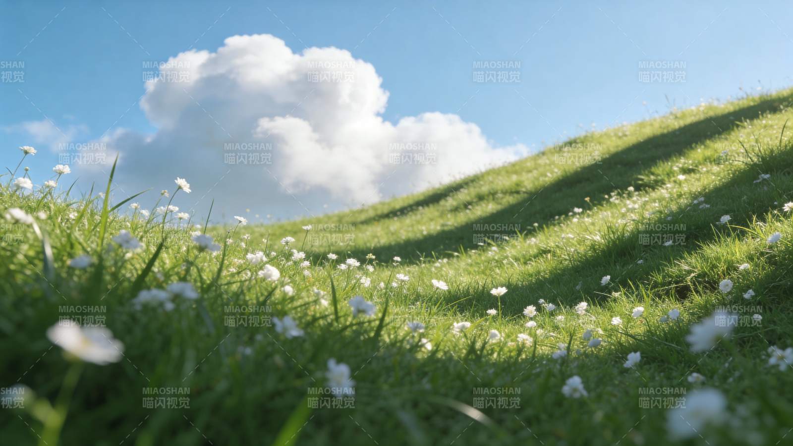 绿草白花蓝天白云图片