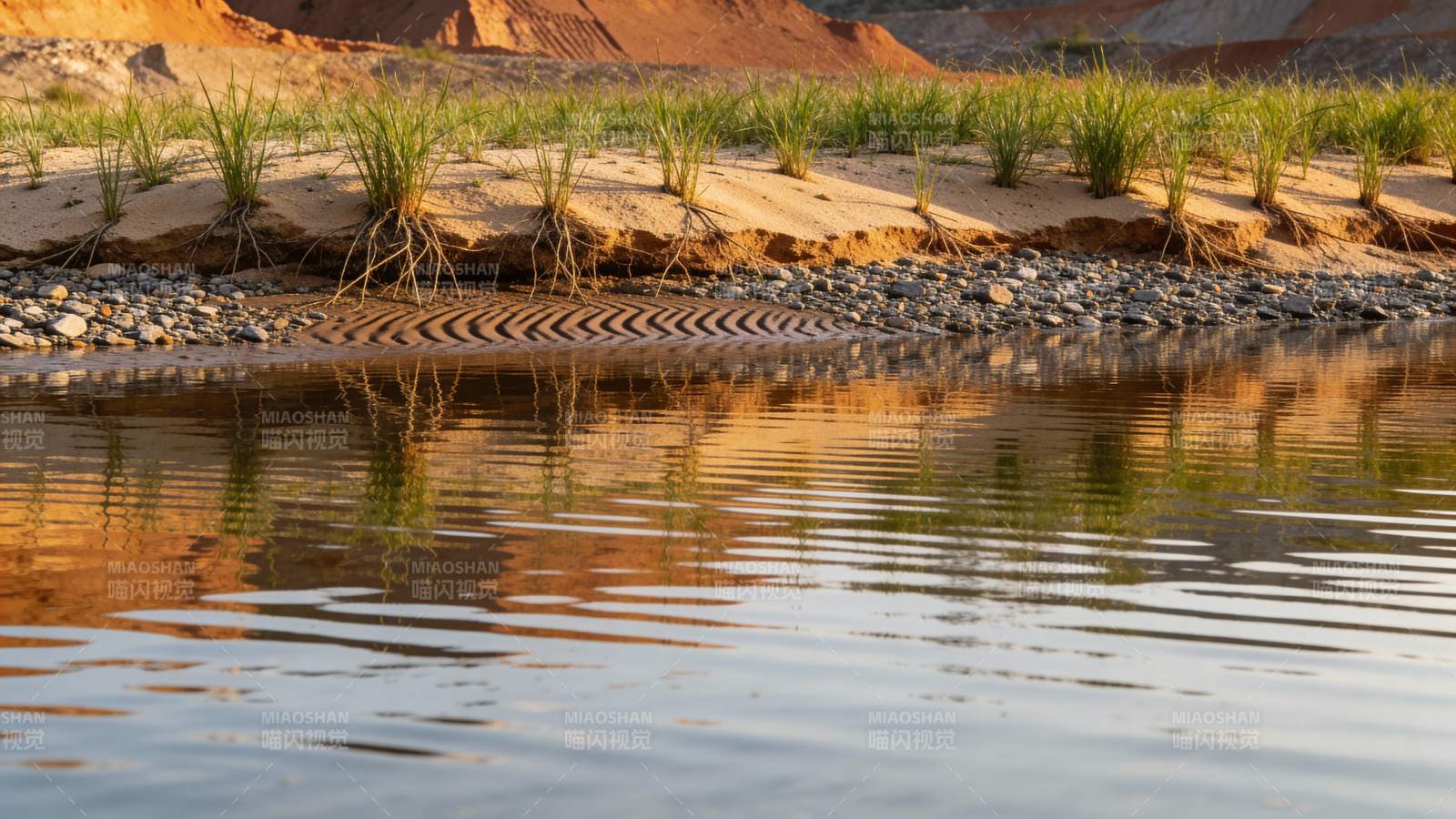 河岸沙地植被与水面倒影图片