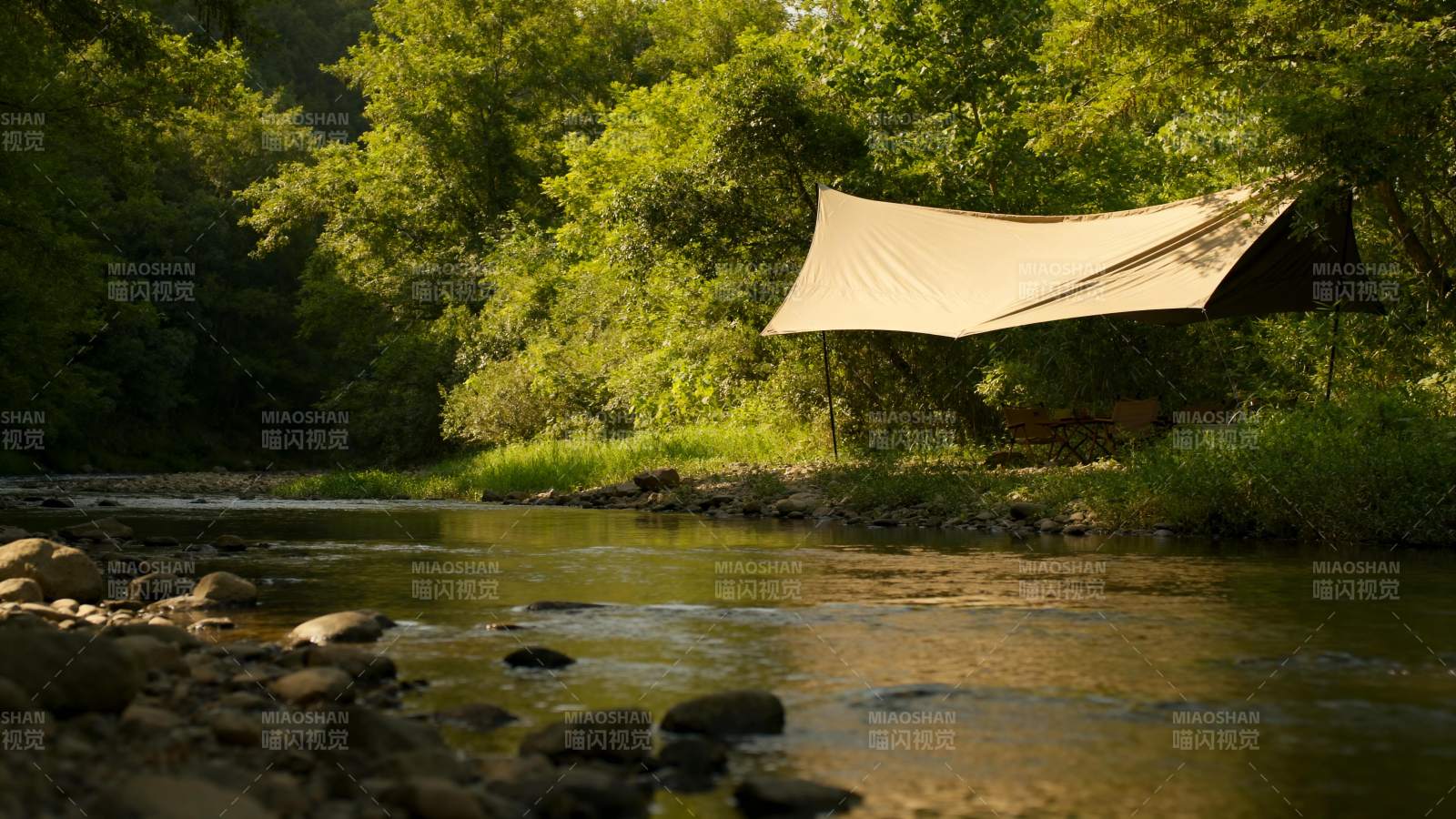 溪边露营 树影婆娑图片