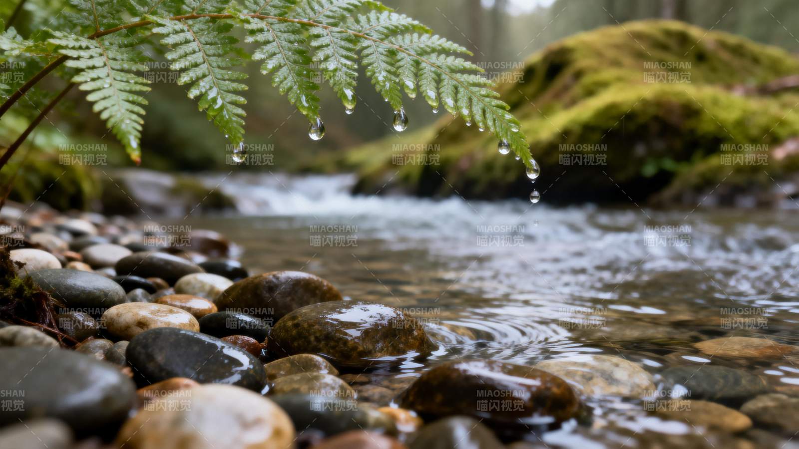 溪流石间绿意盎然图片