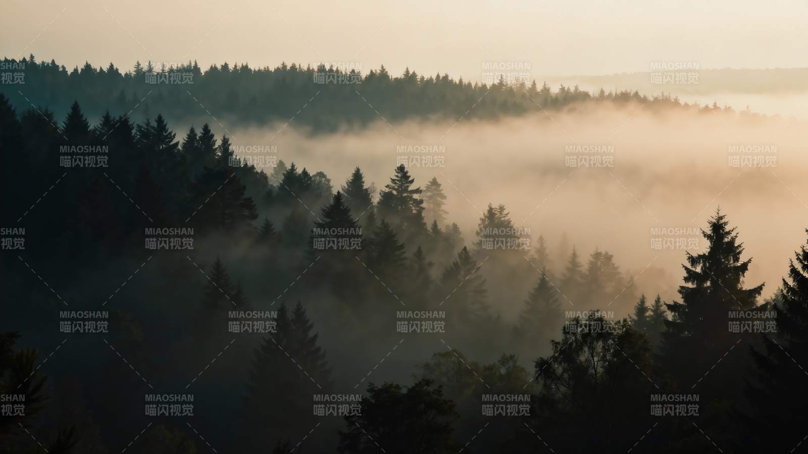 晨雾缭绕山林图片