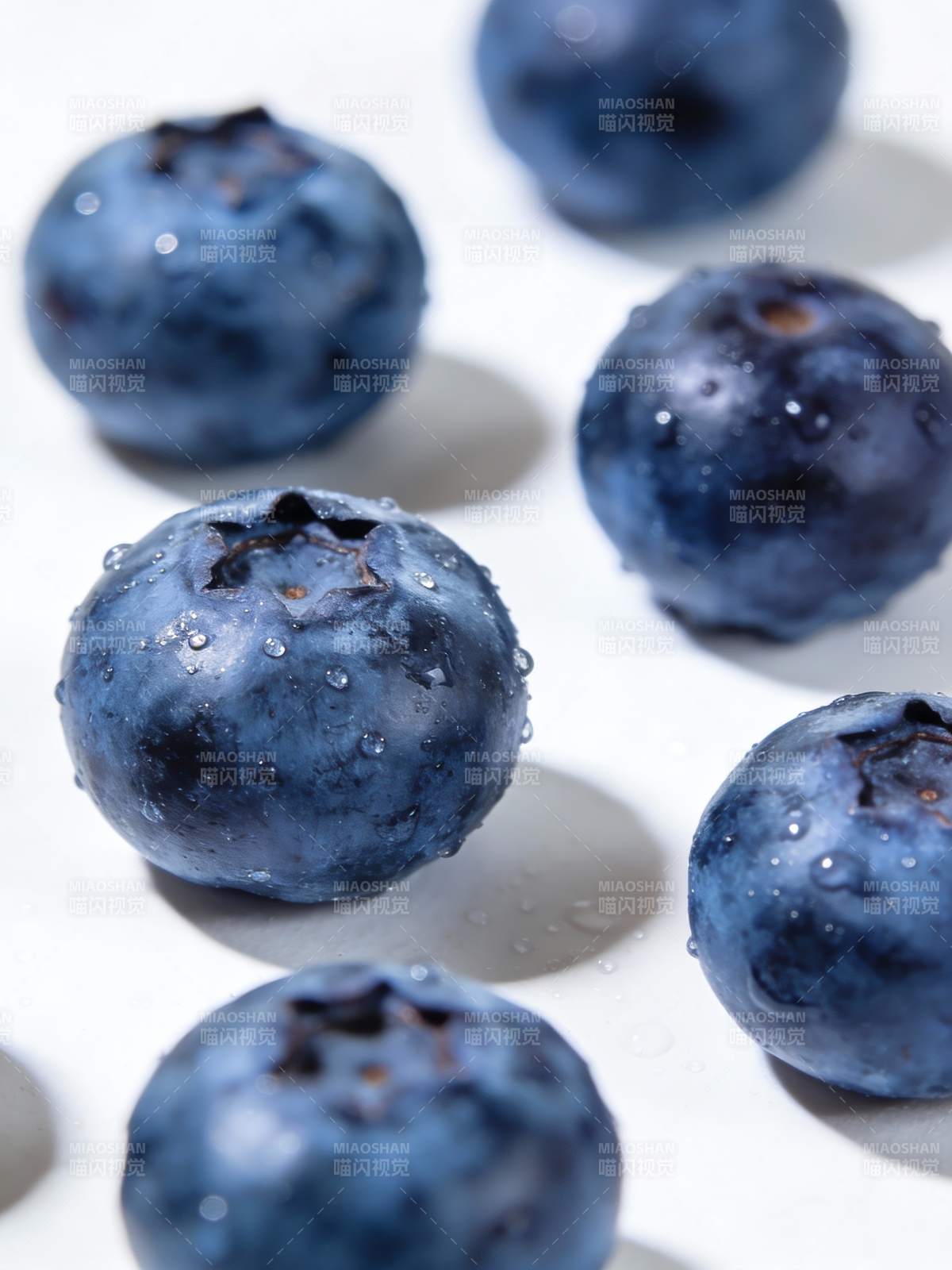 晶莹蓝莓特写图片