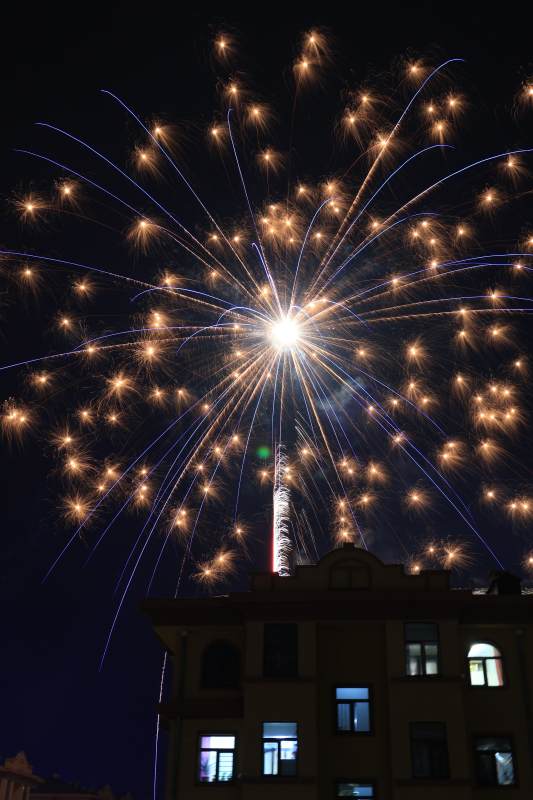 夜空烟花绽放图片