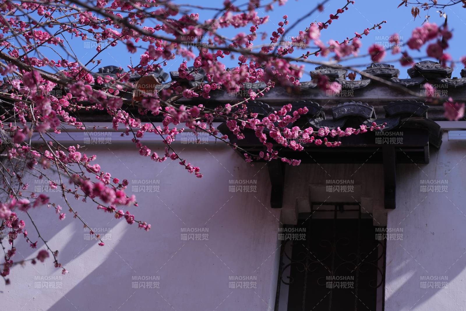 梅花映古屋图片