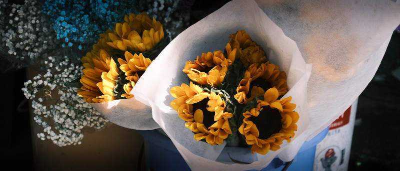 向日葵花束图片