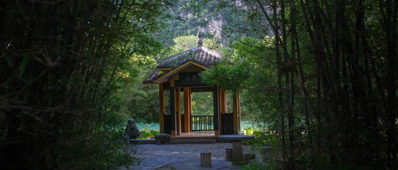 林间小亭静谧景图片