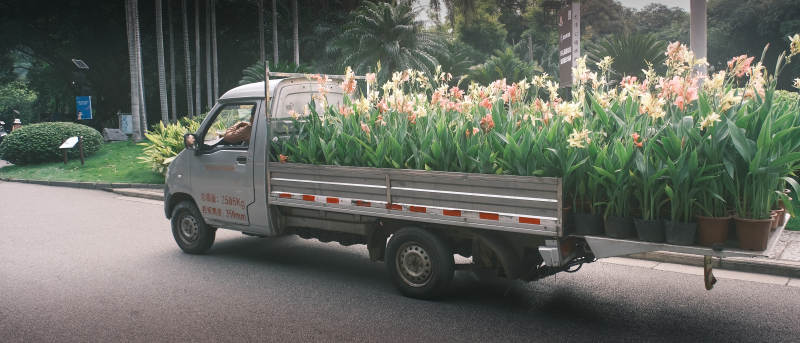 花车驶过绿园图片