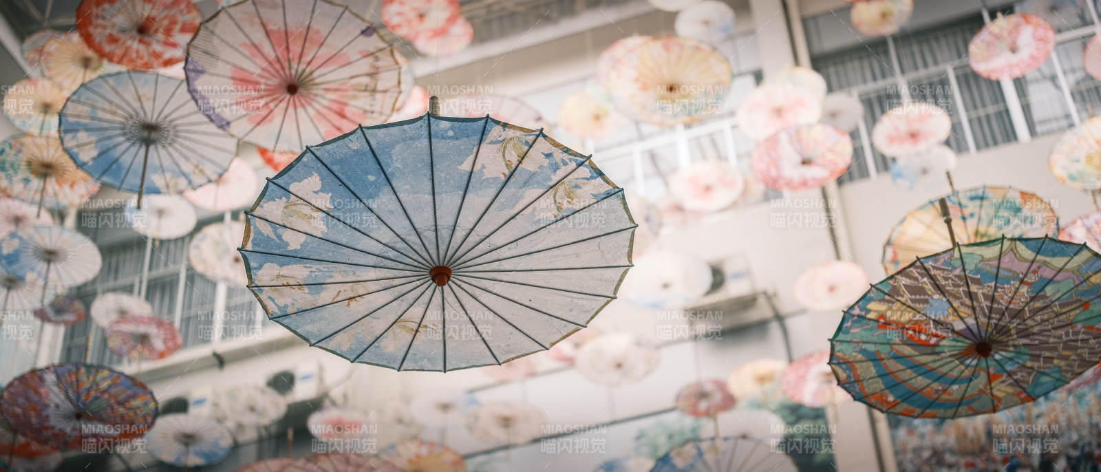 伞影纷飞 梦里花落图片