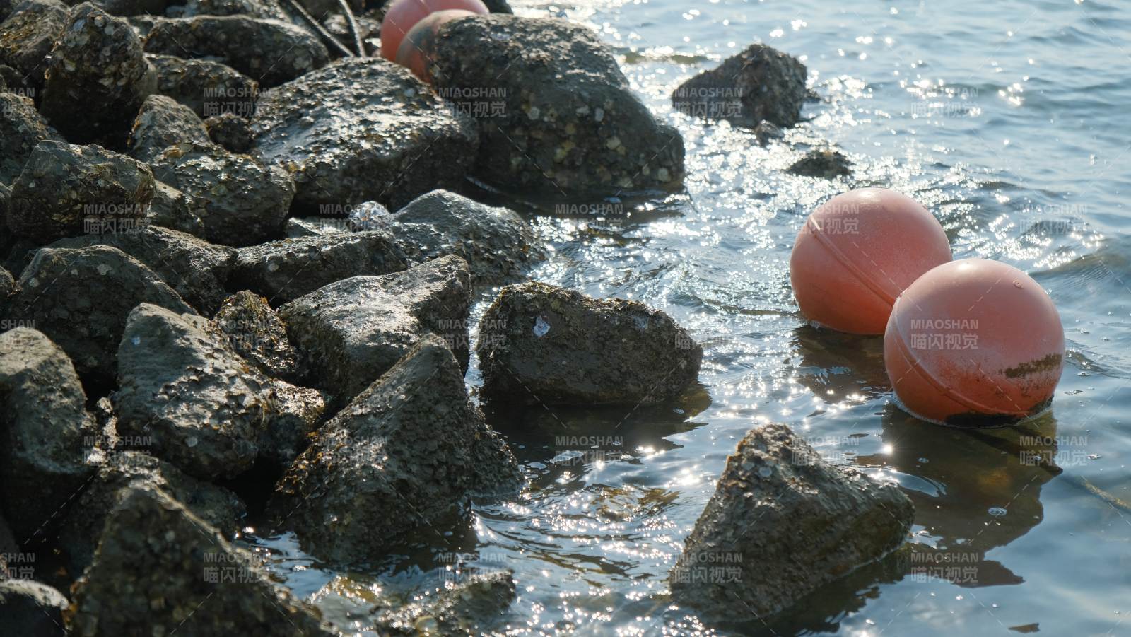 水边的橙色浮球图片