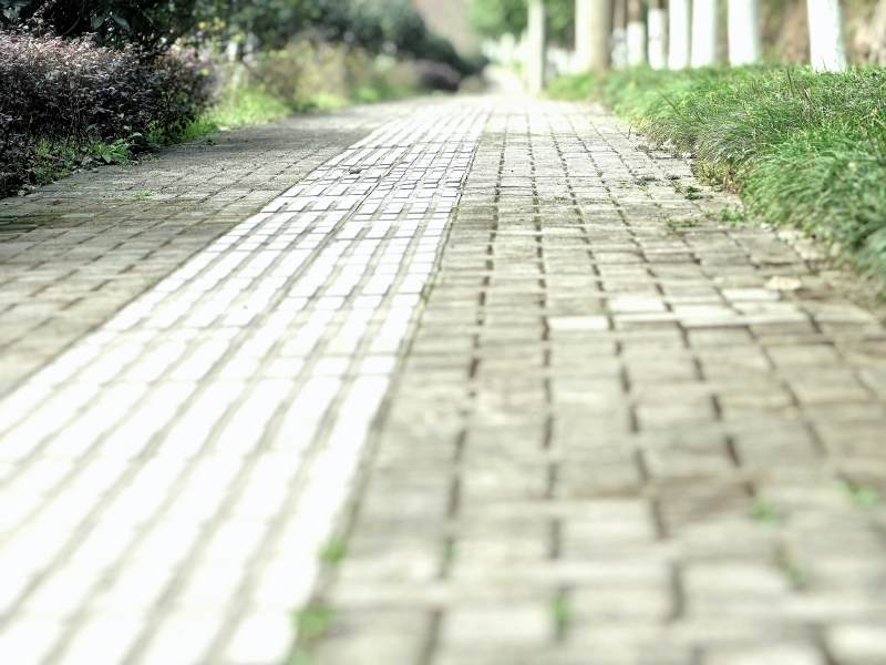 砖路延伸绿意中图片