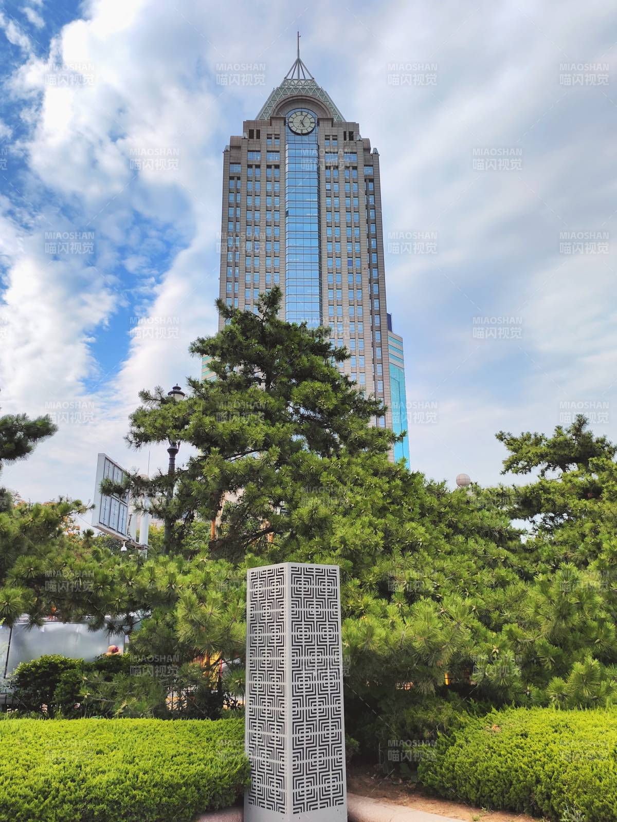 青岛高楼建筑绿树映蓝天图片