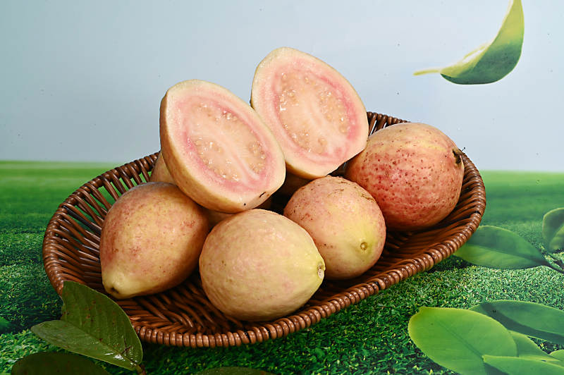 浆果多肉营养丰富的热带水果番石榴图片