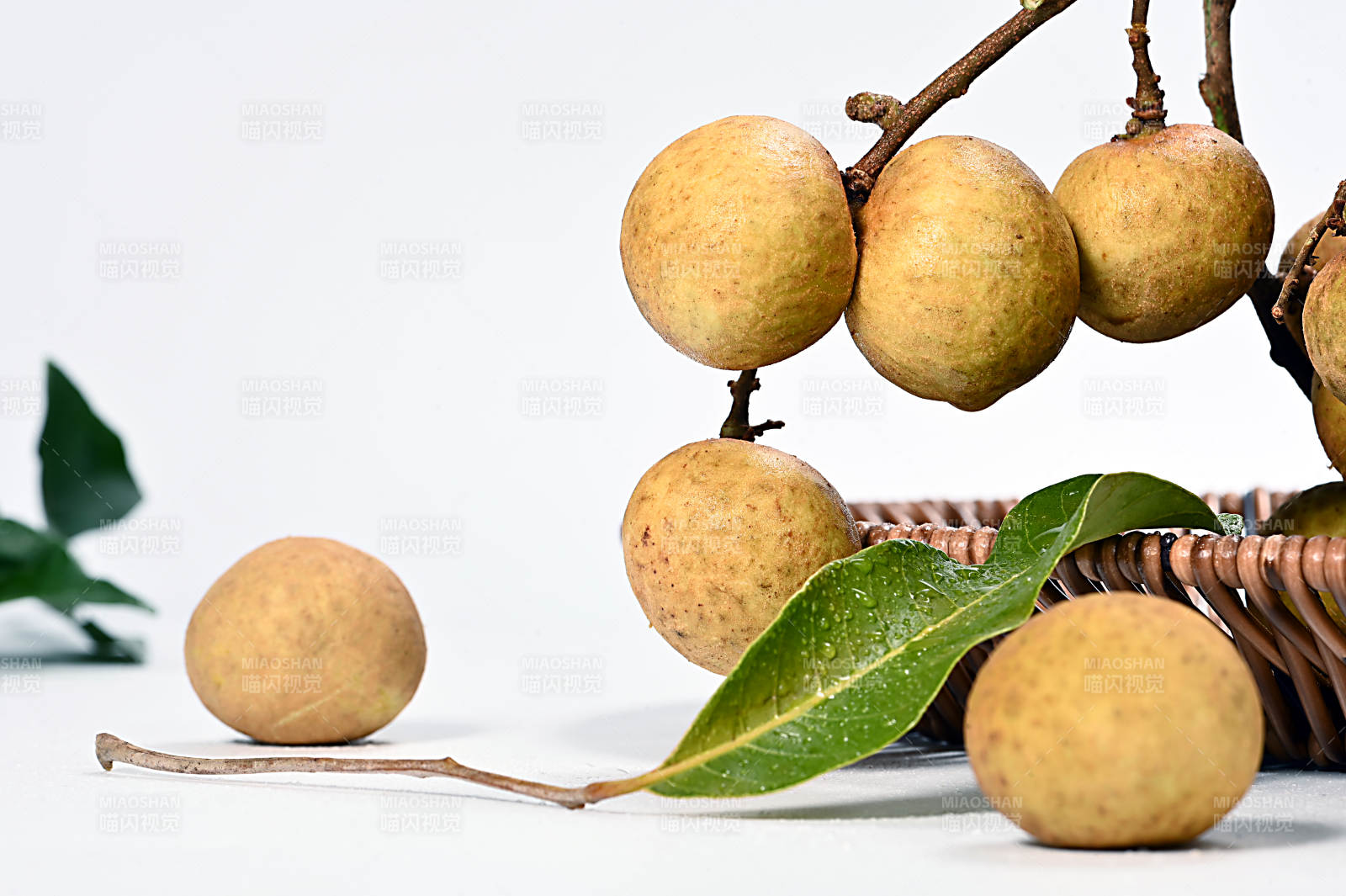 甘甜多汁营养丰富的亚热带水果龙眼特写图片