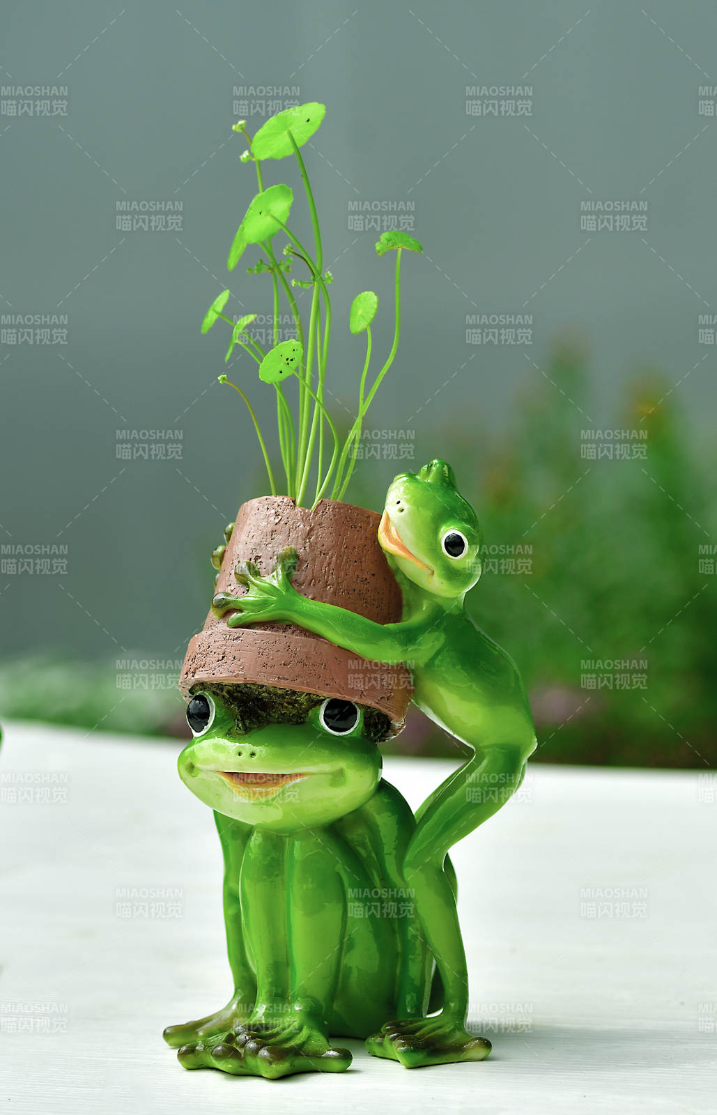 创意青蛙碗莲盆栽微景观图片