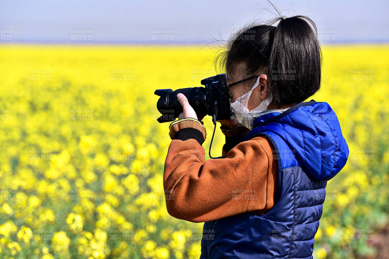 花海中的小小摄影者图片