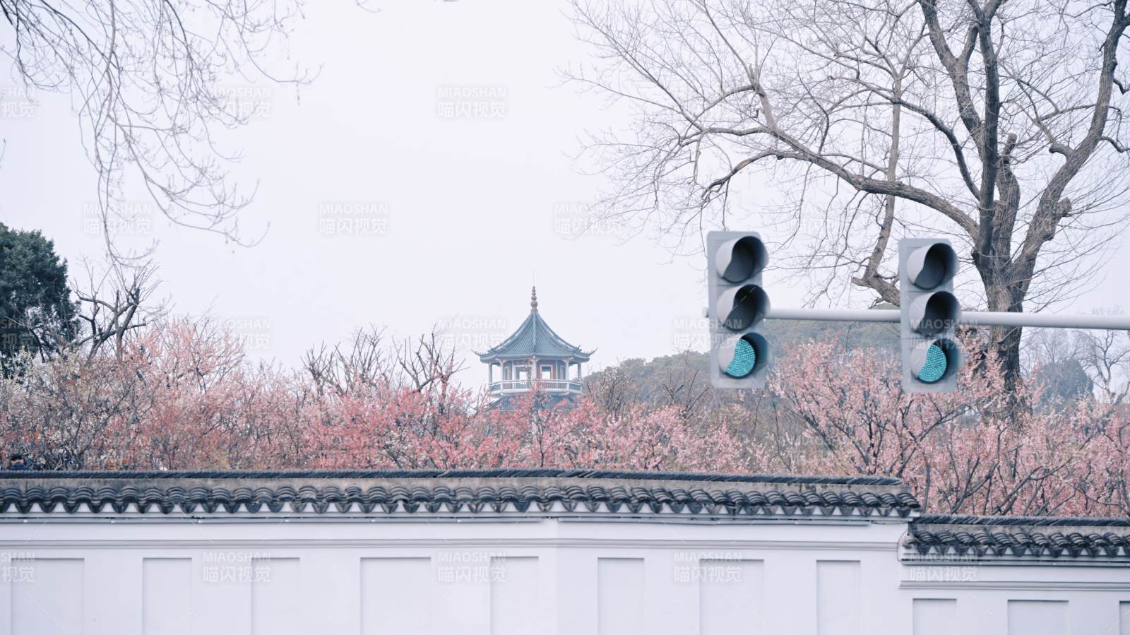 梅园老大门口图片