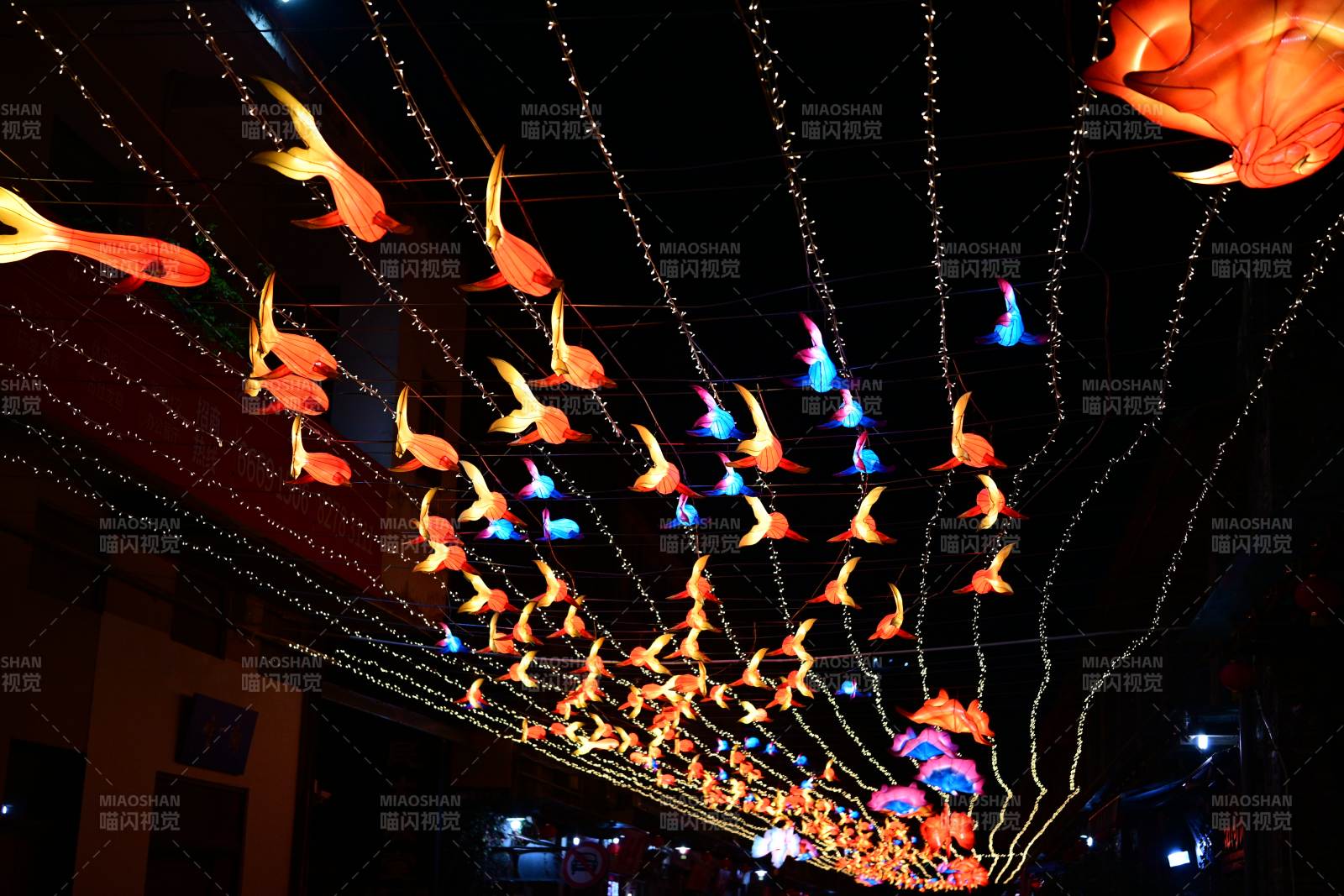 彩灯鱼群夜景图片