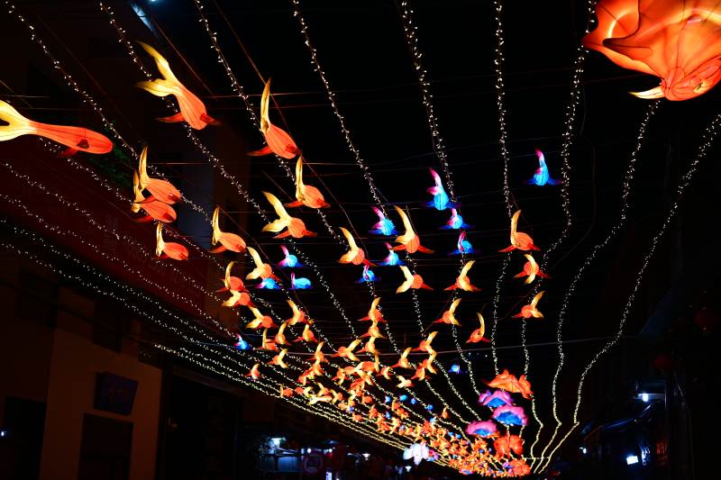 彩灯鱼群夜景图片