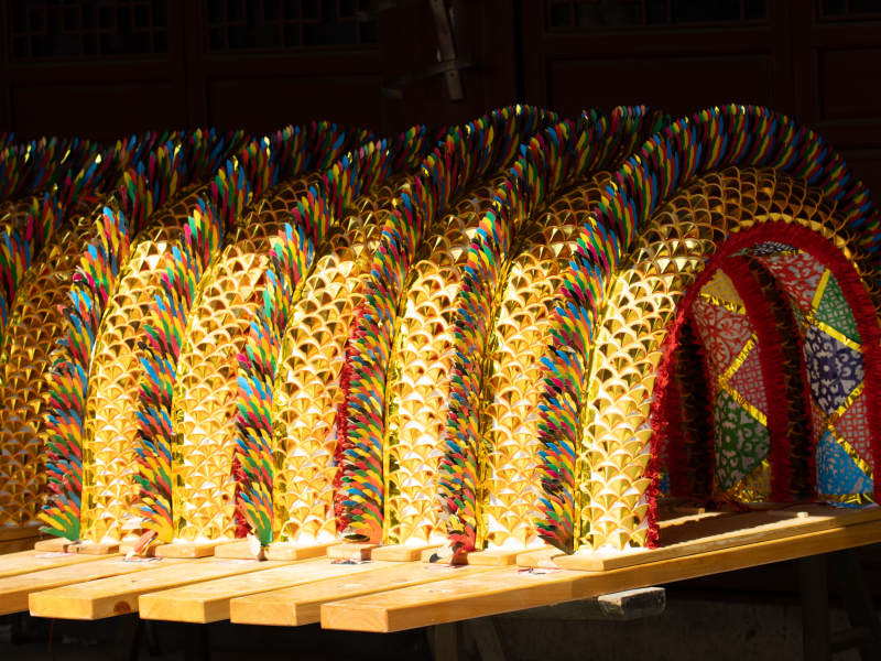 萧山河上板龙图片