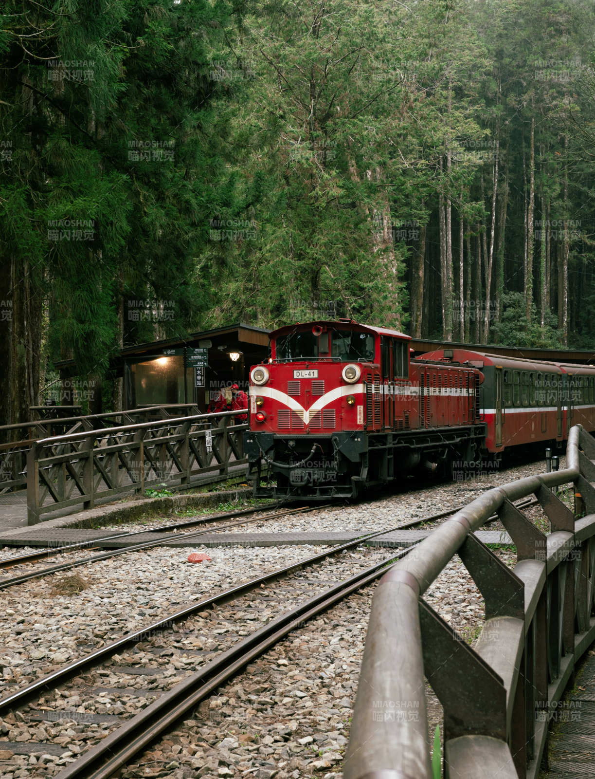 森林中的红色小火车图片