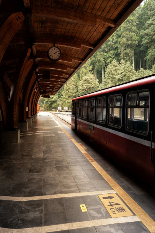 森林中的车站静谧图片